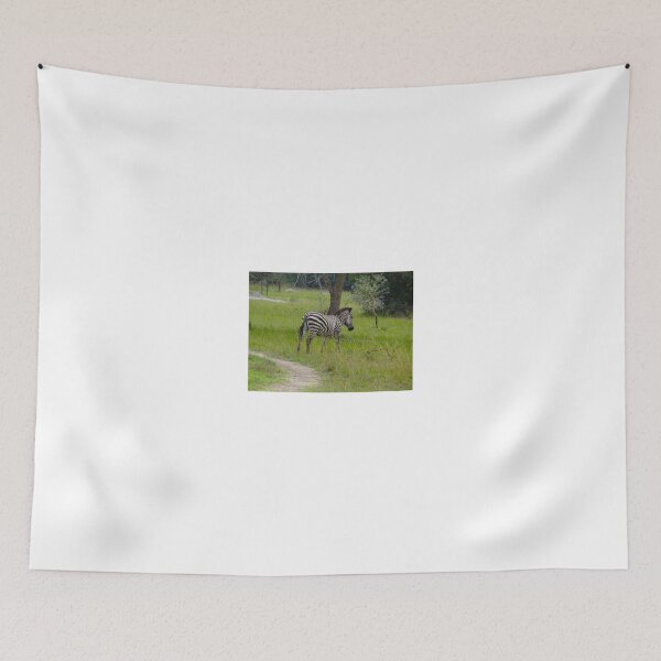 Item preview, Zebra horsing around designed and sold by exploramum.