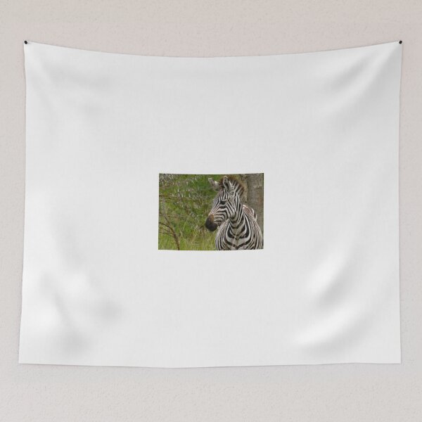 Item preview, Life’s path can be thorny designed and sold by exploramum.