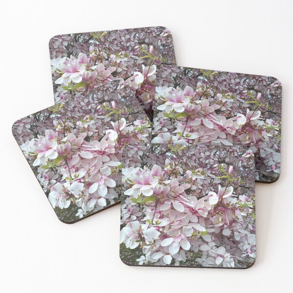 Item preview, Sweet Magnolias, Magnolia, Magnolias, Early Spring, Estetic designed and sold by colorgallery11.