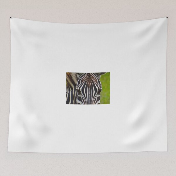 Item preview, Zebra Eyes designed and sold by exploramum.