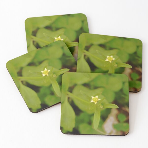 Item preview, Small-flowered Buttercup designed and sold by gistinker.