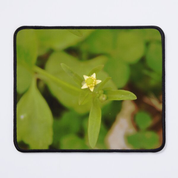 Item preview, Small-flowered Buttercup designed and sold by gistinker.