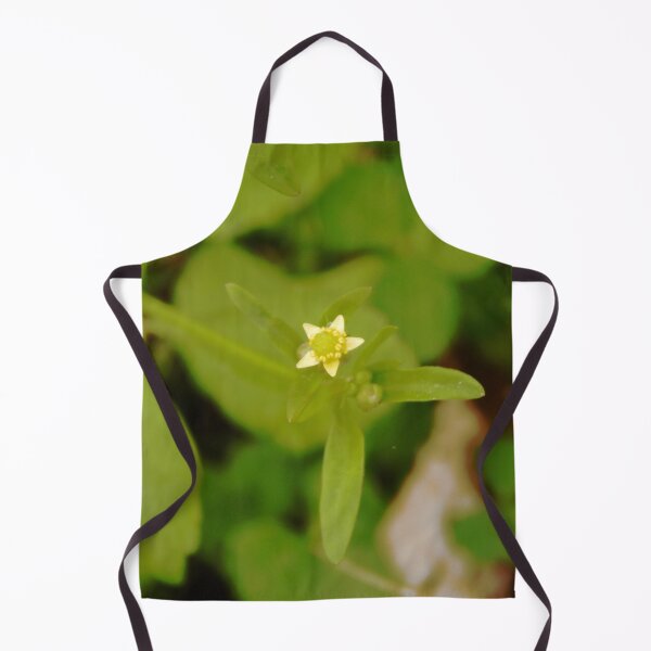 Item preview, Small-flowered Buttercup designed and sold by gistinker.