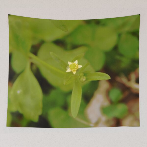 Item preview, Small-flowered Buttercup designed and sold by gistinker.