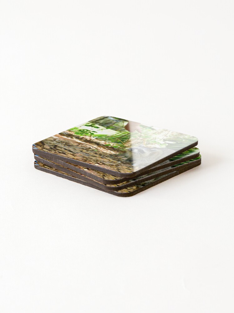 Thumbnail 4 of 5, Coasters (Set of 4), First Encounters designed and sold by MercerImages.