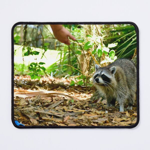 Item preview, First Encounters designed and sold by MercerImages.