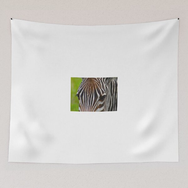 Item preview, Zebra with brown top hair designed and sold by exploramum.