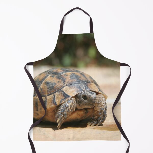 Item preview, Young Tortoise Emerging From Its Shell designed and sold by taiche.