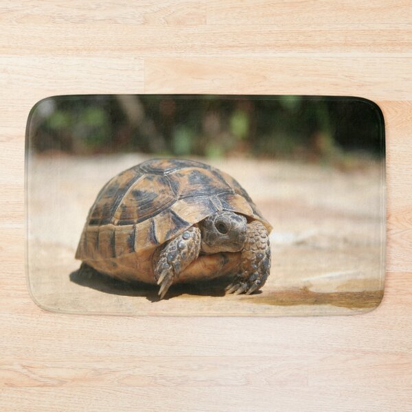 Item preview, Young Tortoise Emerging From Its Shell designed and sold by taiche.