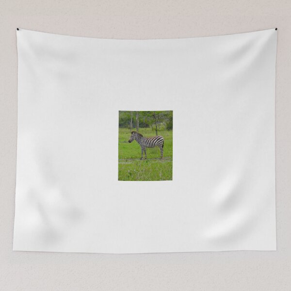 Item preview, Zebra Art Model designed and sold by exploramum.