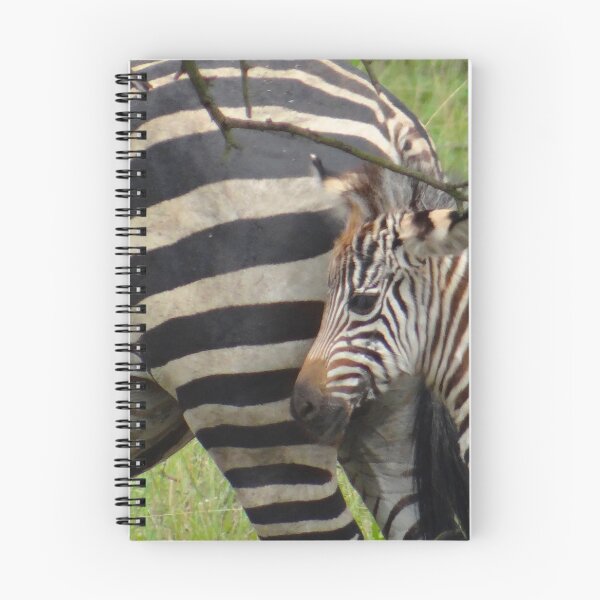 Item preview, Zebra Mamma and Bubba designed and sold by exploramum.