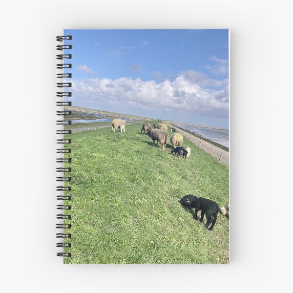 Item preview, Texel Sheep designed and sold by Suezwaals.