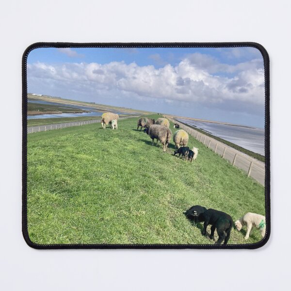 Item preview, Texel Sheep designed and sold by Suezwaals.