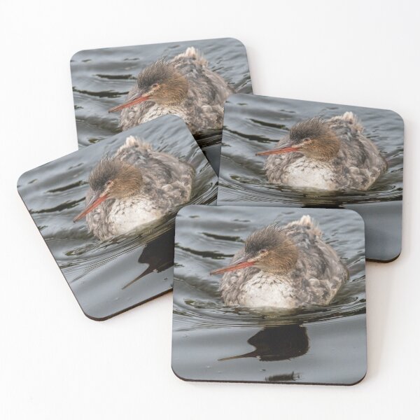 Item preview, Merganser Gliding Across the Water designed and sold by Debra Martz.