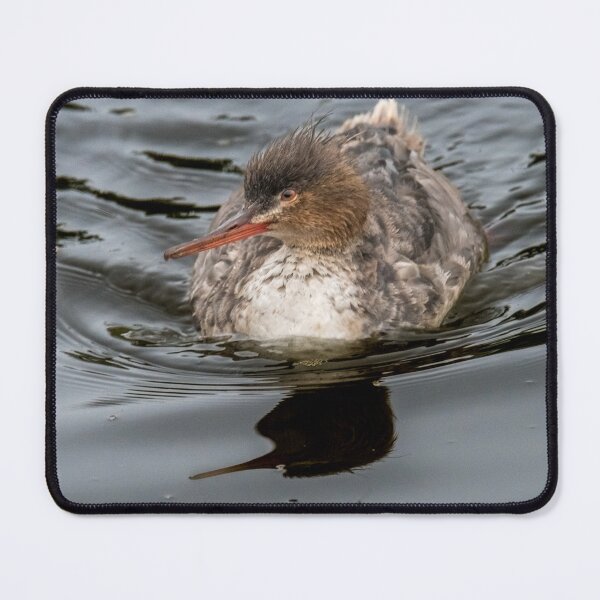 Item preview, Merganser Gliding Across the Water designed and sold by Debra Martz.