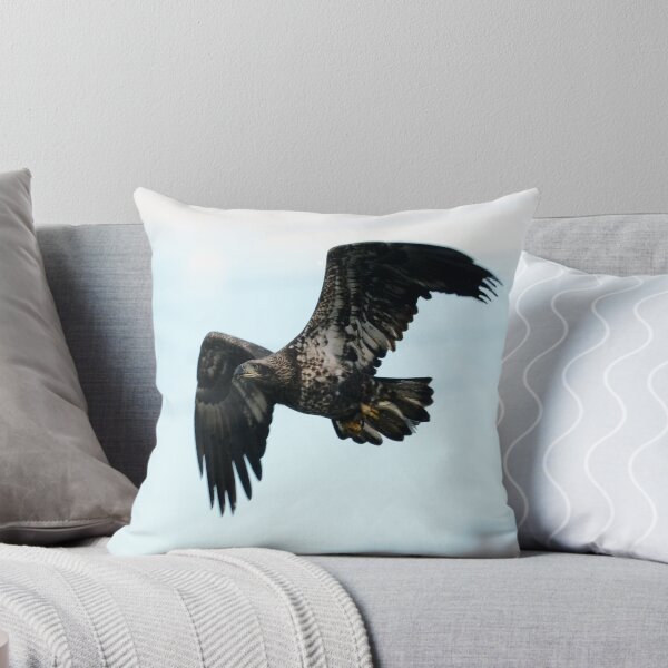 Item preview, Young Eagle in Flight designed and sold by ginawaltersdorf.