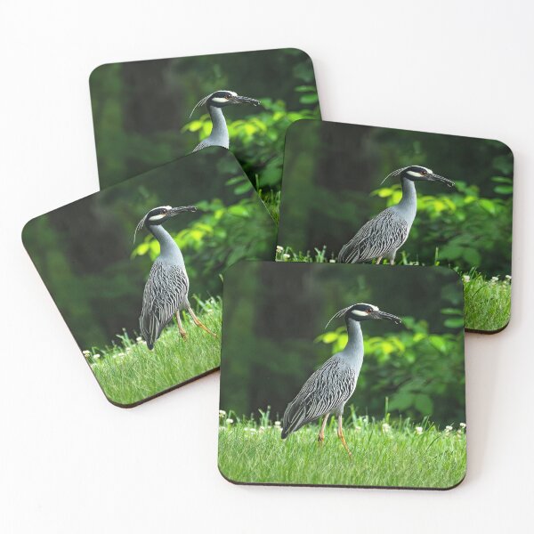 Item preview, The Graceful Presence of the Yellow-crowned Night Heron designed and sold by Moriarty's Digital Visions.