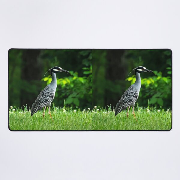 Item preview, The Graceful Presence of the Yellow-crowned Night Heron designed and sold by Moriarty's Digital Visions.