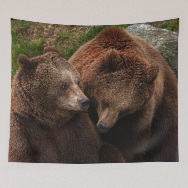 Item preview, Brown Bear Female Gazing At Male designed and sold by rawshutterbug.