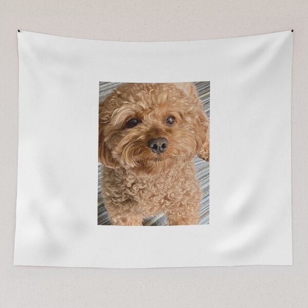 Item preview, Jared designed and sold by BOBBYBABE.