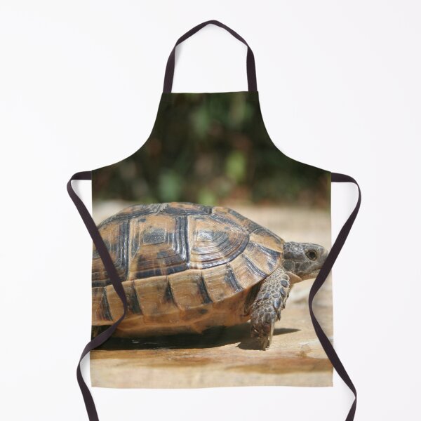 Item preview, Sideview of A Walking Turkish Tortoise Close Up designed and sold by taiche.