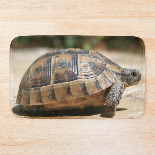 Item preview, Sideview of A Walking Turkish Tortoise Close Up designed and sold by taiche.