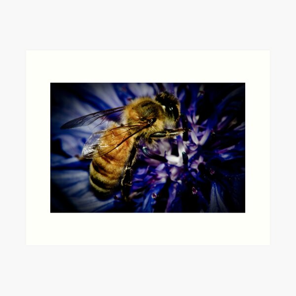 Buzzted! Art Print