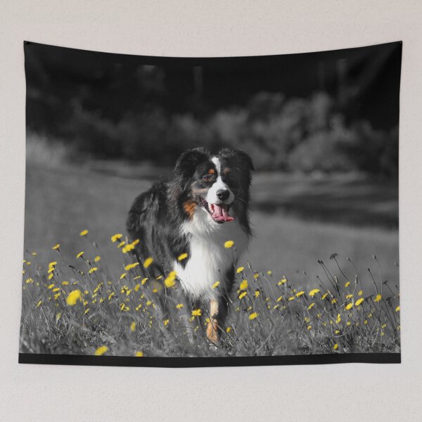 Item preview, Dog In The Field (Selective Color Photography) designed and sold by PatternTitan.
