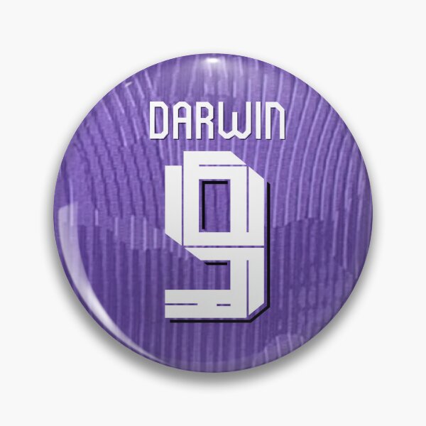 Item preview, Darwin Nunez Liverpool Third KIt 23/24 designed and sold by Alimator.