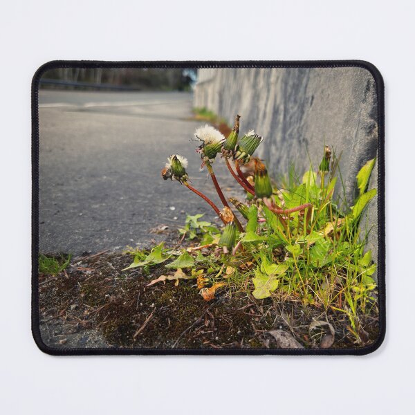 Item preview, Livin' on the Edge designed and sold by Steve Walser.