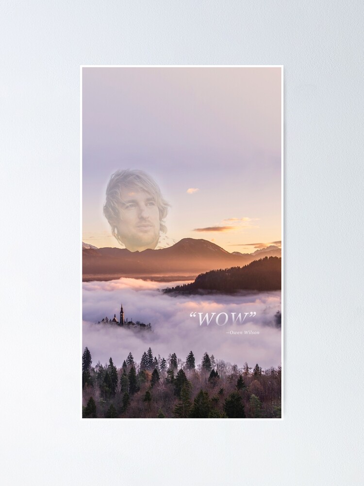 Alternate view of WOW - Owen Wilson Poster