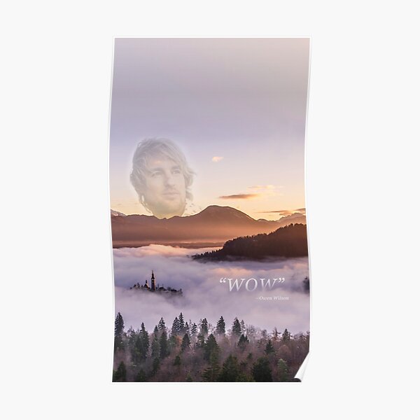 WOW - Owen Wilson Poster