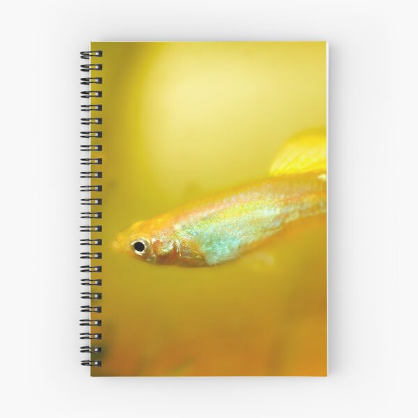Item preview, Yellow Guppy Fish by heidiannemorris © designed and sold by FOLK ART FUSION by heidiannemorris.