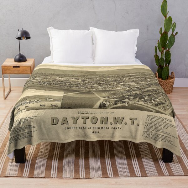 Item preview, Dayton, Washington (1884) designed and sold by allhistory.