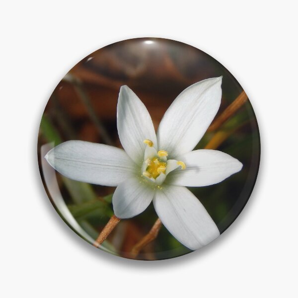 Item preview, Fresh Star of Bethlehem designed and sold by gistinker.