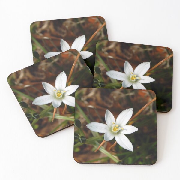 Item preview, Fresh Star of Bethlehem designed and sold by gistinker.