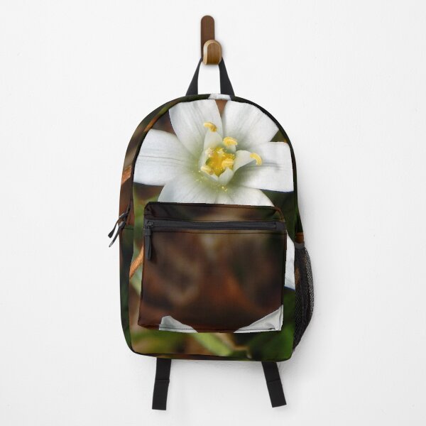 Item preview, Fresh Star of Bethlehem designed and sold by gistinker.