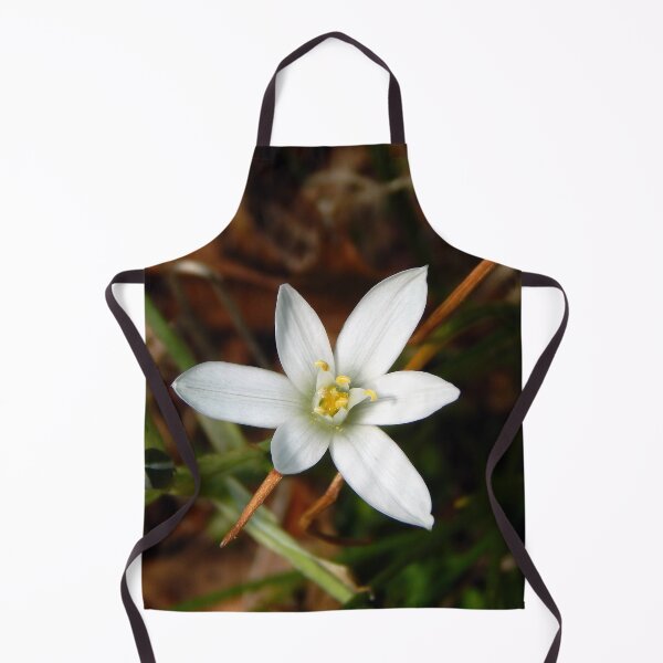 Item preview, Fresh Star of Bethlehem designed and sold by gistinker.
