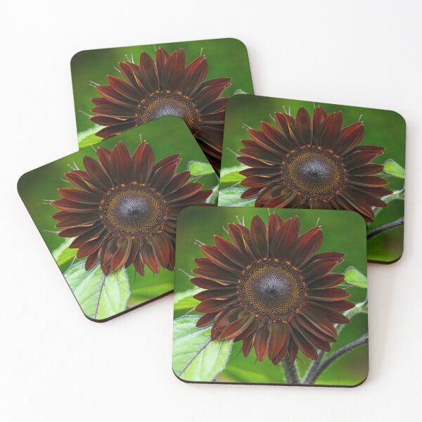 Item preview, Radiant Reverie: A Sunflower's Symphony designed and sold by Moriarty's Digital Visions.