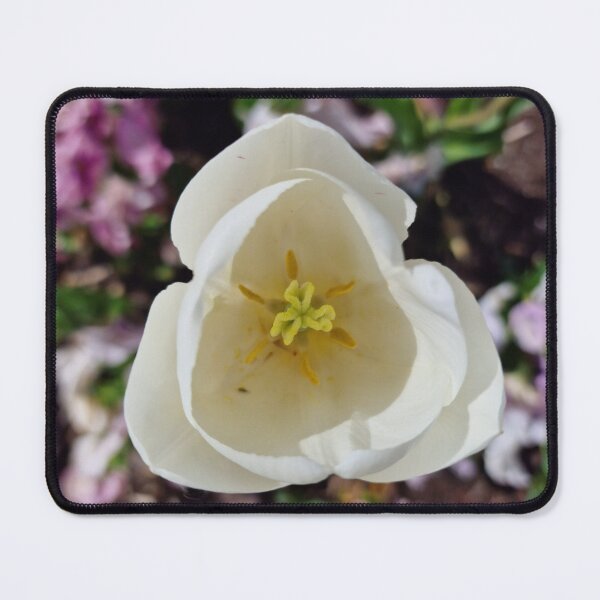 Item preview, White Tulip Flower with Petals, Pistils, Stamens designed and sold by Gaboro.