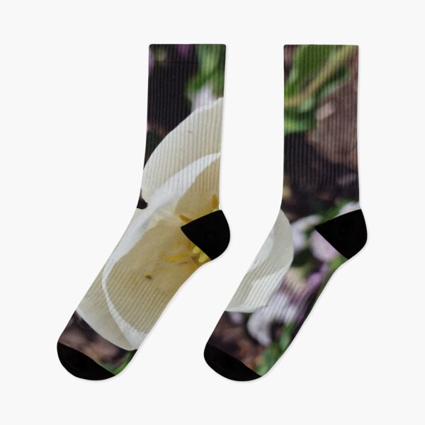 Item preview, White Tulip Flower with Petals, Pistils, Stamens designed and sold by Gaboro.