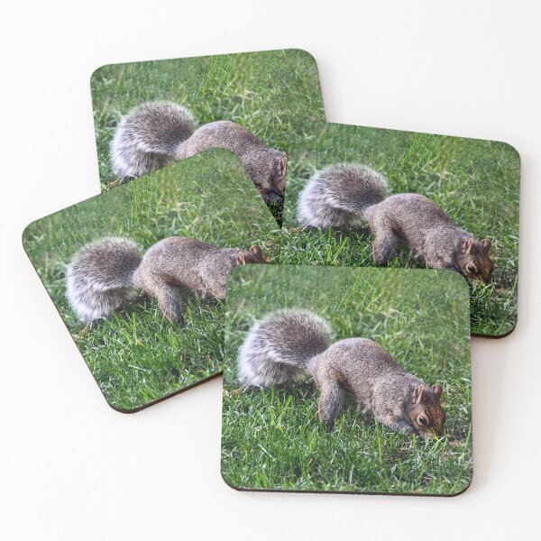Item preview, Where's That Nut? designed and sold by heatherfriedman.