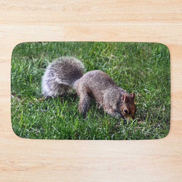 Item preview, Where's That Nut? designed and sold by heatherfriedman.