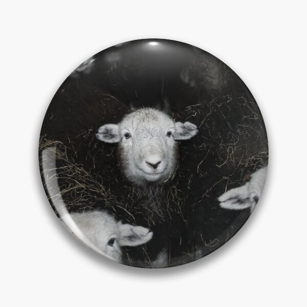 Item preview, Seven Herdwick sheep  designed and sold by PHILIP CHALK.