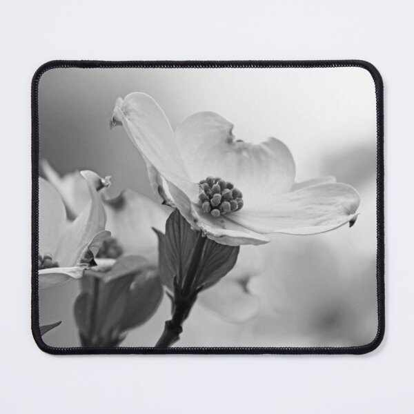 Item preview, White Dogwood Black And White designed and sold by Deb Oppermann.