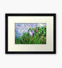 Bloom Where I'm Planted Framed Print