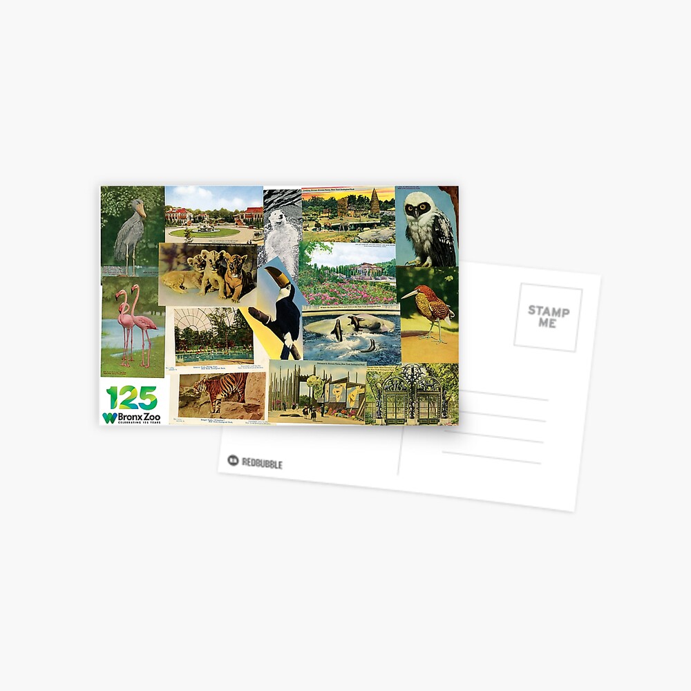 Item preview, Postcard designed and sold by WCS-Archives.