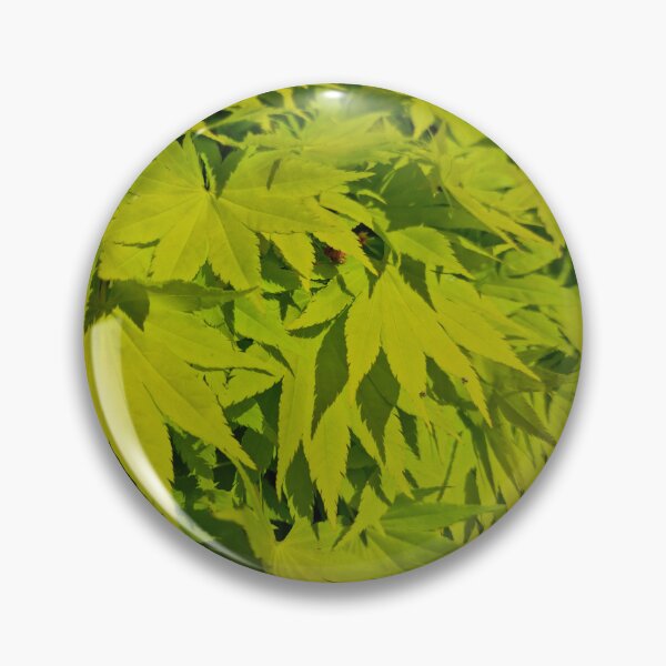 Item preview, Fresh Green Japanese Maple Leaves designed and sold by Gaboro.
