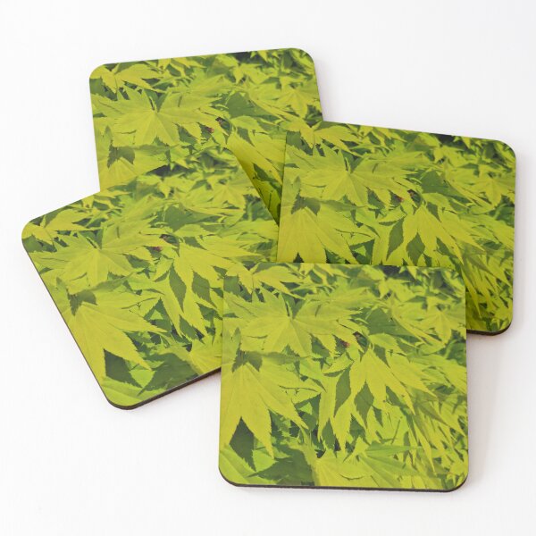 Item preview, Fresh Green Japanese Maple Leaves designed and sold by Gaboro.