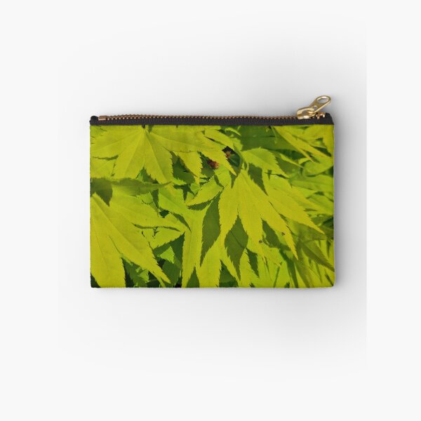 Item preview, Fresh Green Japanese Maple Leaves designed and sold by Gaboro.